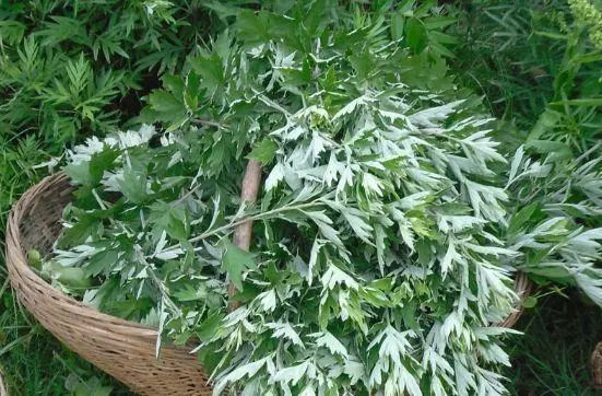 干净毛巾图片,干净的毛巾和脏的毛巾对比图片