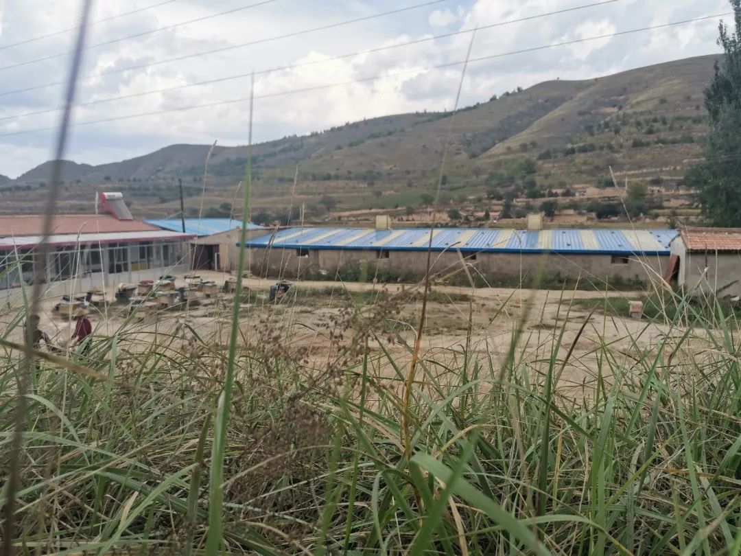 爱国情奋斗者,爱国情奋斗者人物事迹