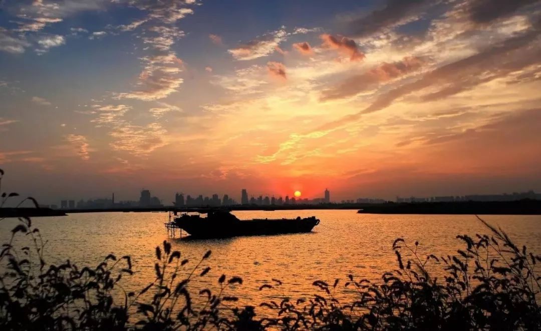 美丽合肥视频,美丽合肥创新之都