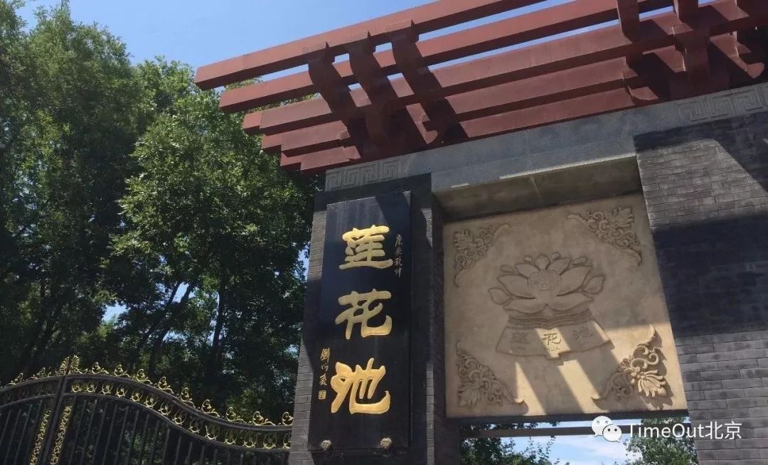 十一生活指南|在公园XX才是正经事