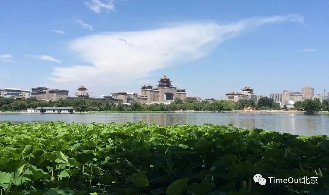 十一生活指南|在公园XX才是正经事