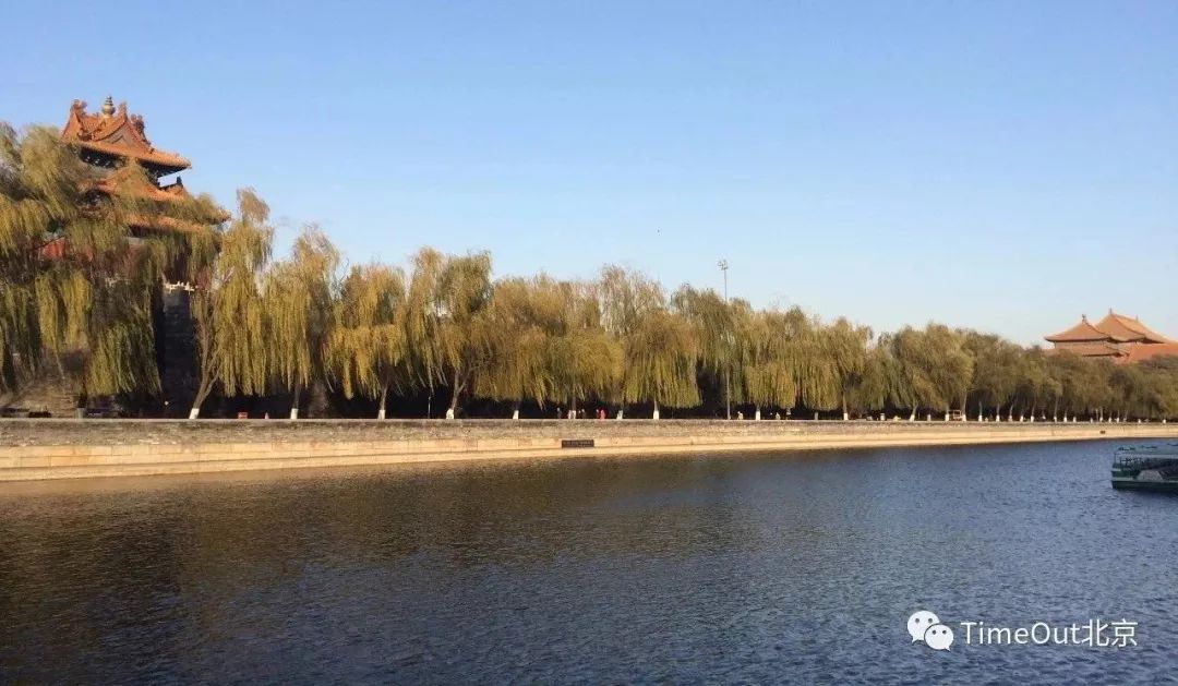 十一生活指南|在公园XX才是正经事