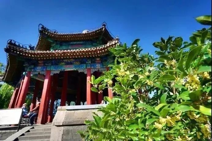 十一生活指南|在公园XX才是正经事