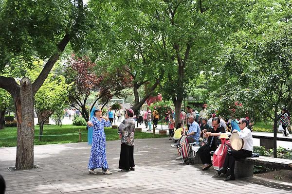 十一生活指南|在公园XX才是正经事