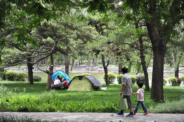 十一生活指南|在公园XX才是正经事