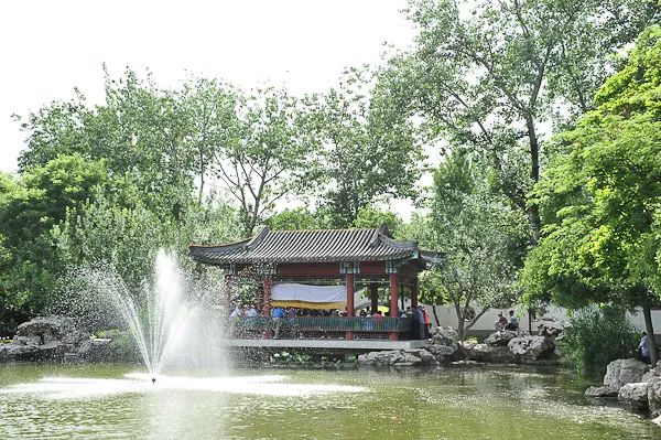 十一生活指南|在公园XX才是正经事