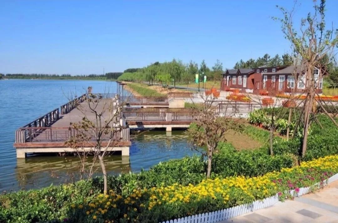 十一生活指南|在公园XX才是正经事