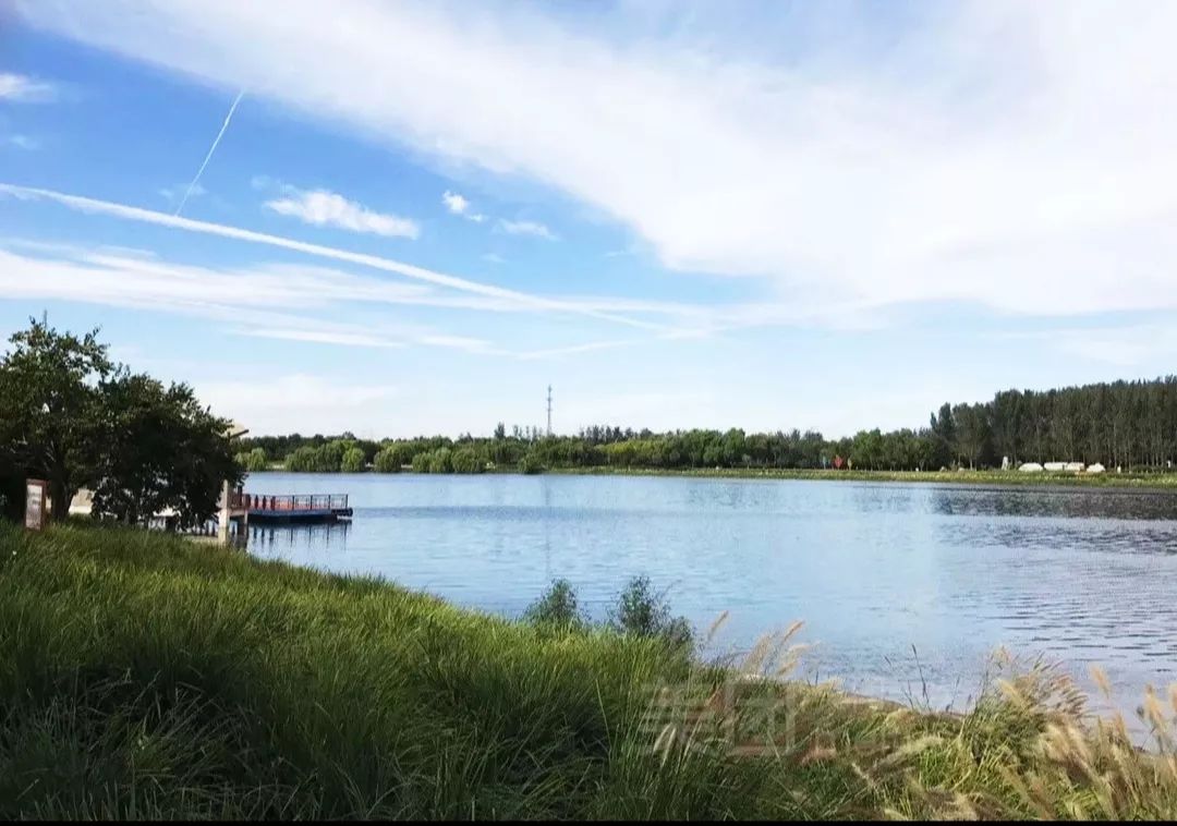 十一生活指南|在公园XX才是正经事