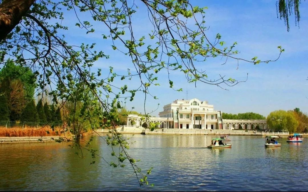 十一生活指南|在公园XX才是正经事