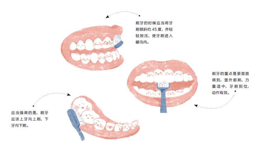齿间美，也是必修之美：乐活护牙手册（内含福利）