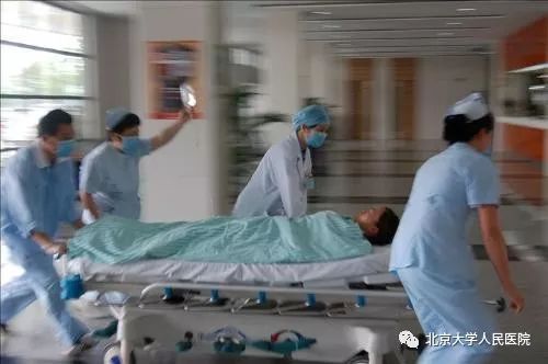 什么动物咬伤不必担心感染狂犬病,被哪几种动物咬伤得狂犬病几率高