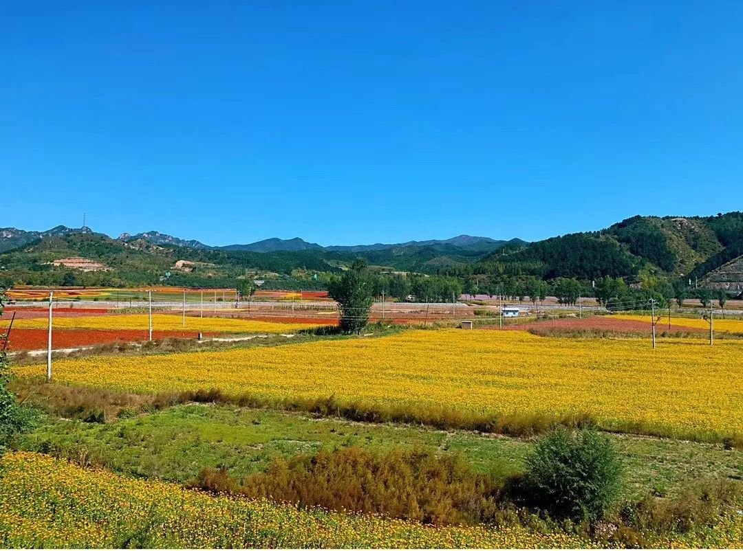 鎵垮痉鍏撮殕娓╂硥搴峰吇鍏瘬,鎵垮痉搴﹀亣鍏瘬