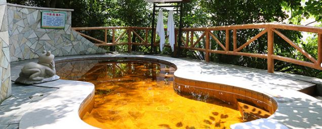 鎵垮痉鍏撮殕娓╂硥搴峰吇鍏瘬,鎵垮痉搴﹀亣鍏瘬