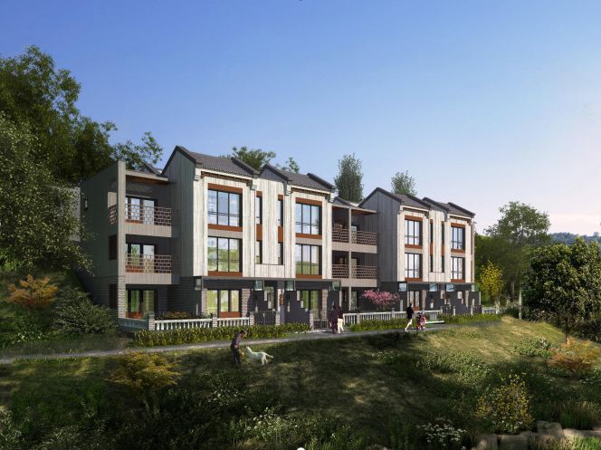 鎵垮痉鍏撮殕娓╂硥搴峰吇鍏瘬,鎵垮痉搴﹀亣鍏瘬