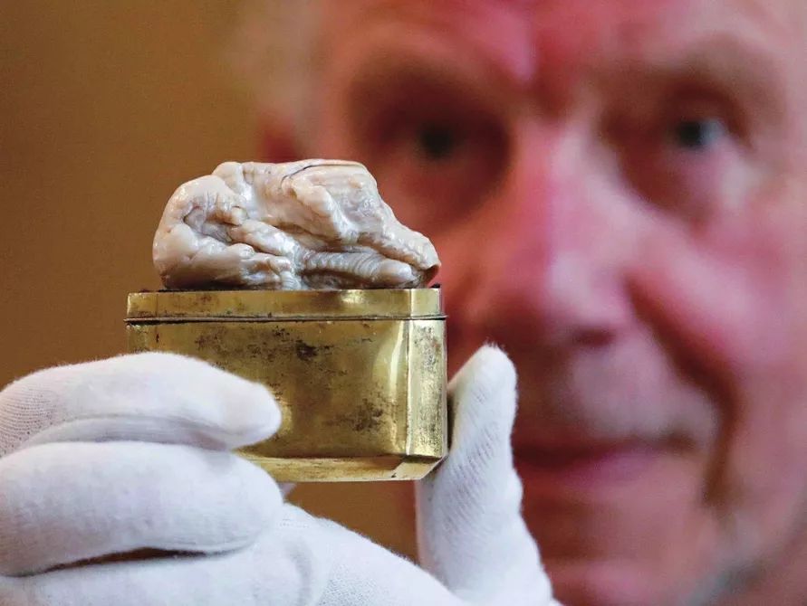 淡水珍珠和海水珍珠哪个对身体好,淡水珍珠和akoya海水珍珠哪个好