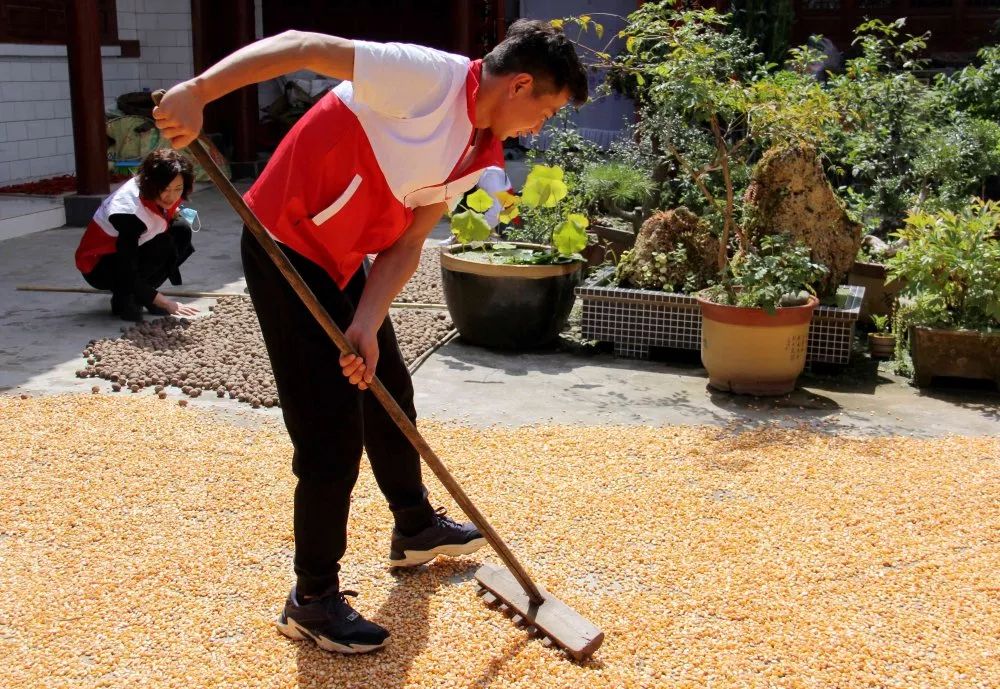 文明实践亮出最美风景线,新时代文明实践站掠影展板