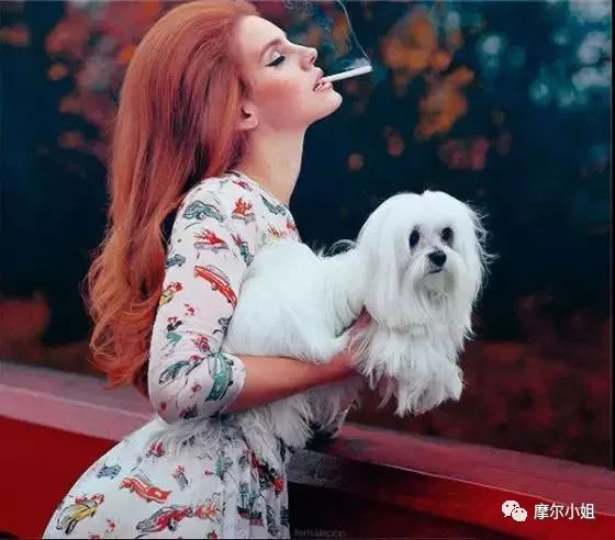 不完美歌曲完整版原唱,不完美的歌曲完整版原唱