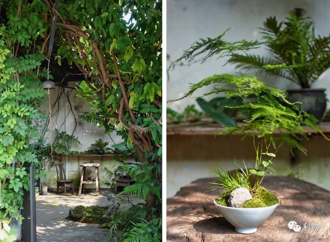 好物分享秋季爆款,秋秋好物分享推荐