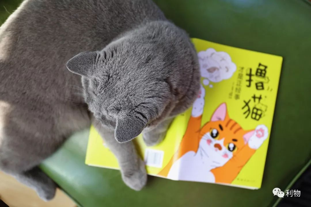 好物分享秋季爆款,秋秋好物分享推荐