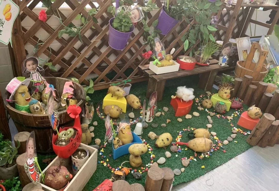 学校热点1|金阳幼儿园：走廊里的“绿”Party