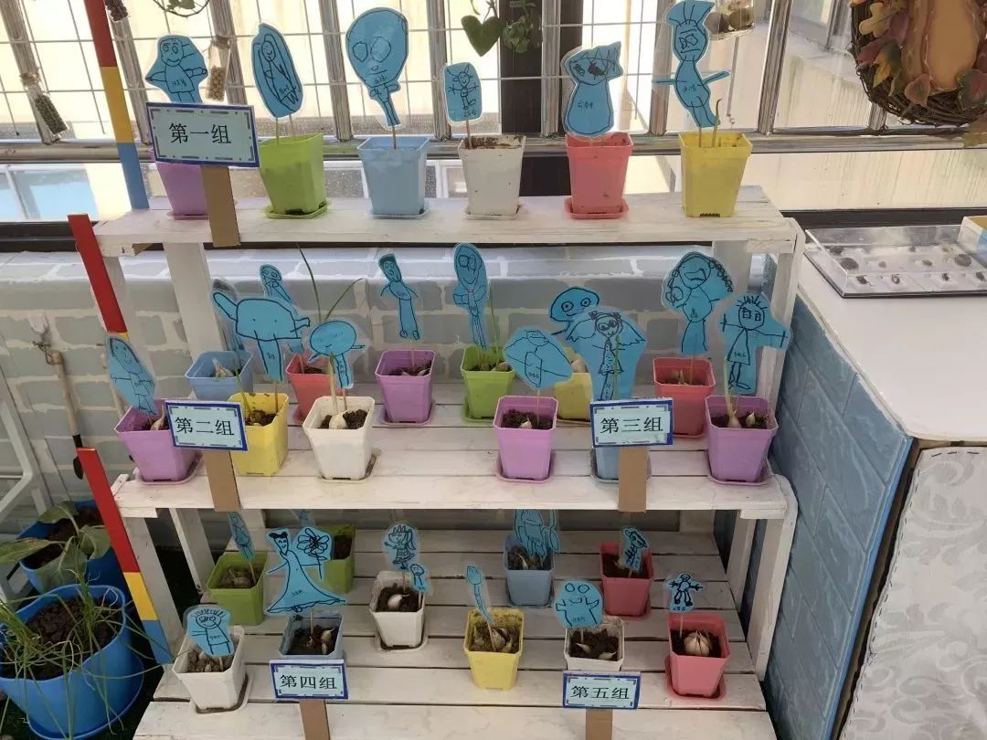 学校热点1|金阳幼儿园：走廊里的“绿”Party