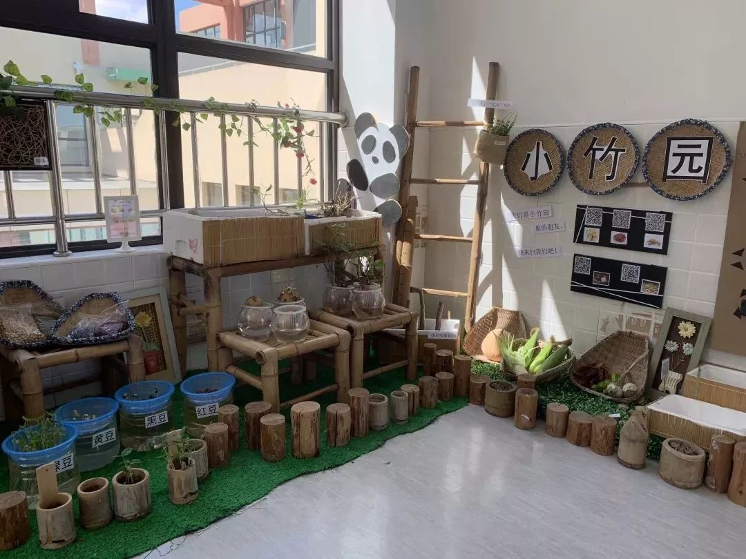 学校热点1|金阳幼儿园：走廊里的“绿”Party