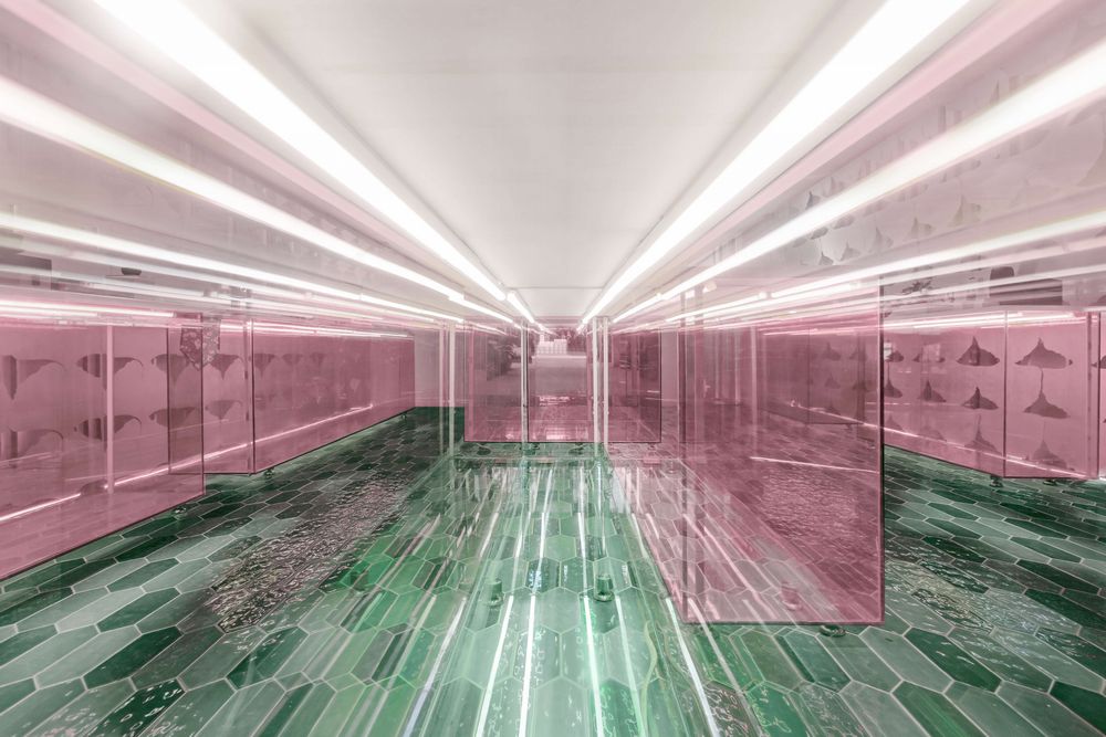 李红形象设计师,李红设计师