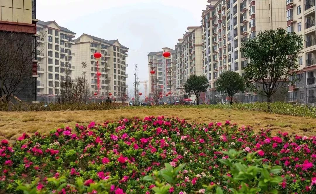 荔波好山好水好地方,荔波风景美如画