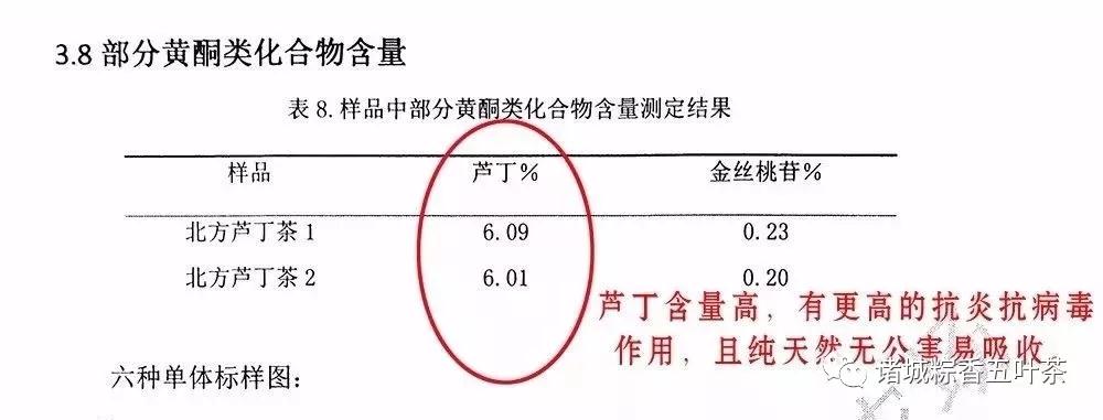 粽香五叶茶国庆献礼，为潍坊市机关工委老干部送健康