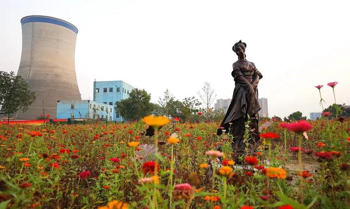 太金贵了钱塘百亩花海惊艳绽放,杭州千亩花海惊艳亮相