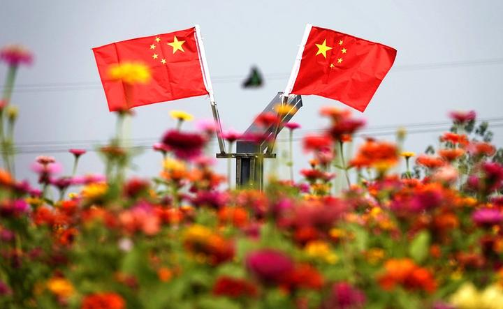 太金贵了钱塘百亩花海惊艳绽放,杭州千亩花海惊艳亮相