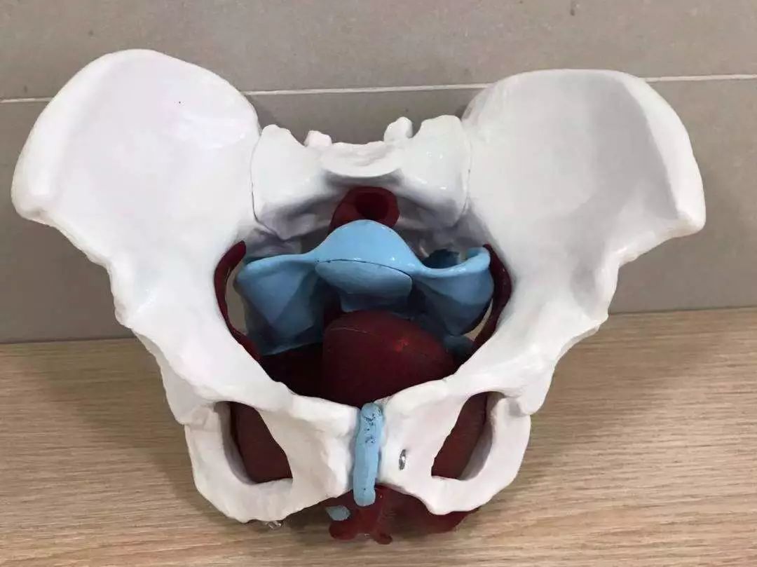 祝贺｜我院妇产科谭鑫医师在第二届孕妇学校讲师授课比赛荣获第一名，并将代表江北区参加市级决赛