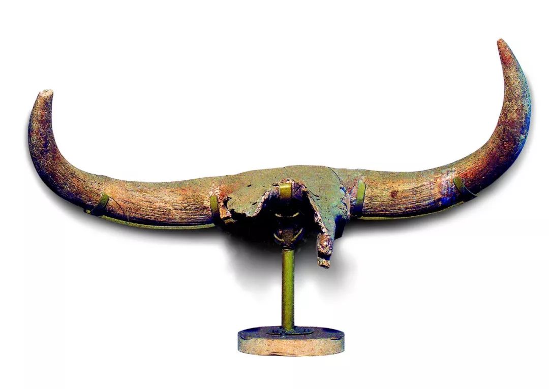 宁夏有多少神奇的故事,宁夏古老的传说