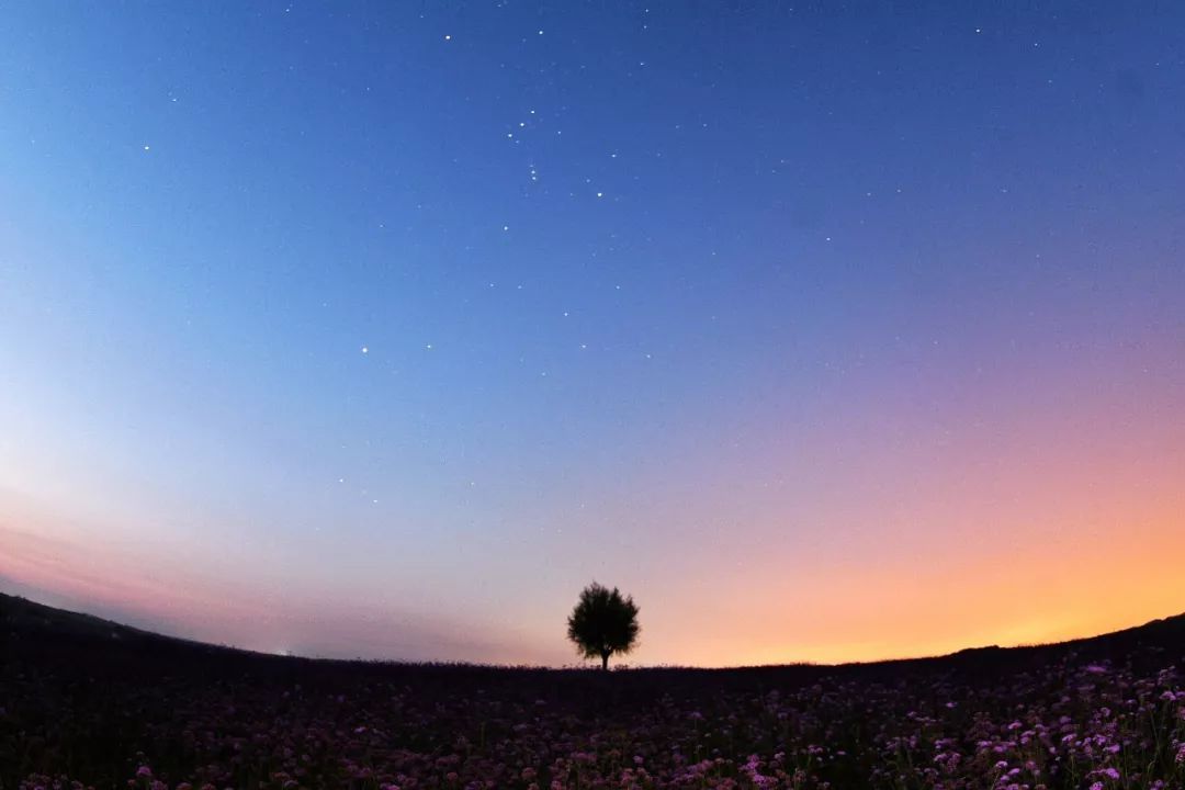 宁夏有多少神奇的故事,宁夏古老的传说