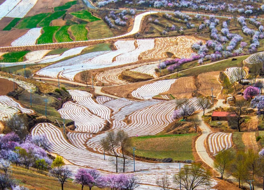 宁夏有多少神奇的故事,宁夏古老的传说