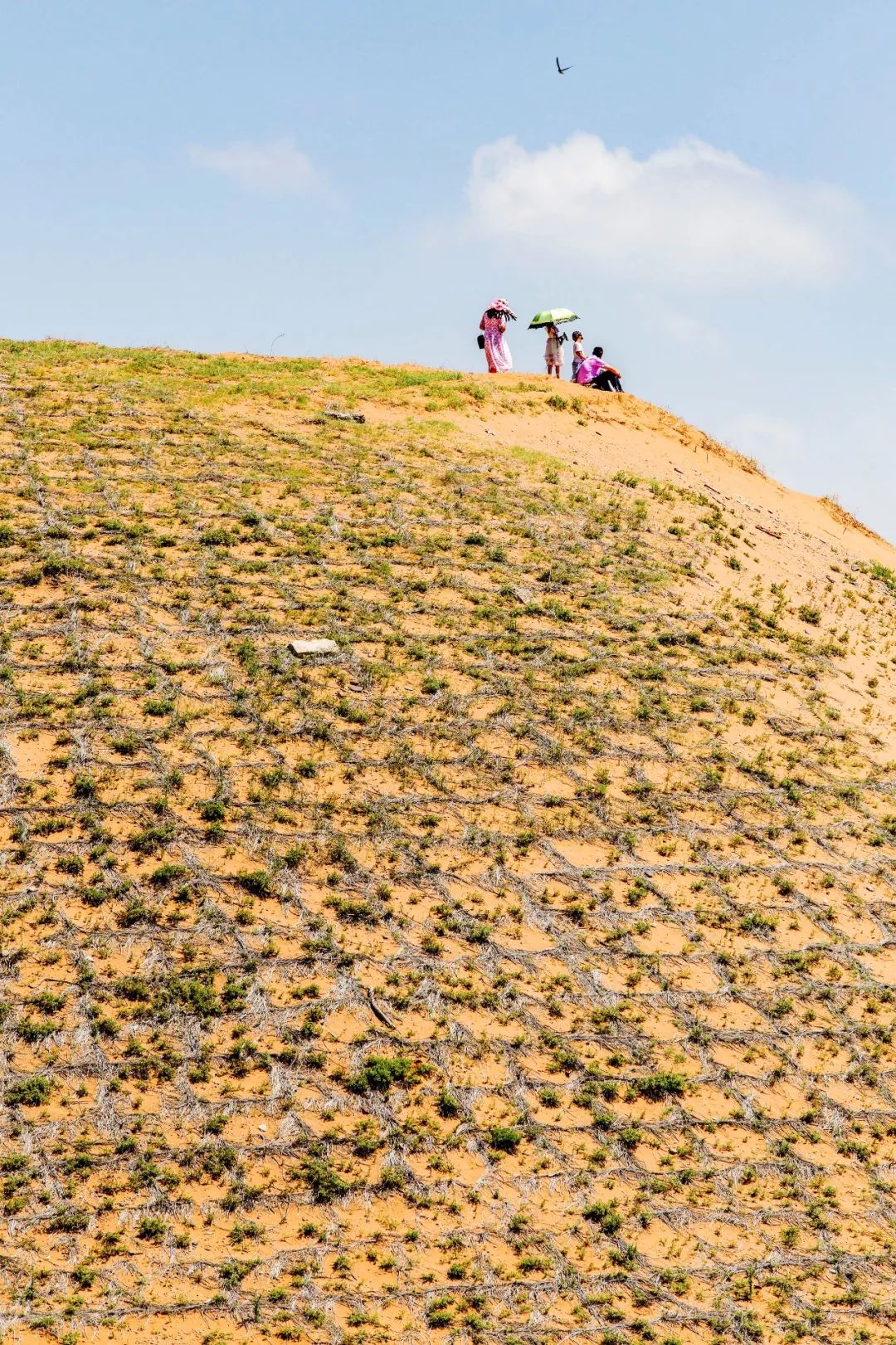 宁夏有多少神奇的故事,宁夏古老的传说
