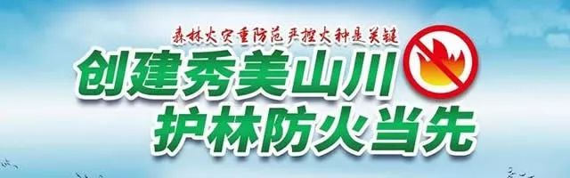 浠水老样子,老浠水城市