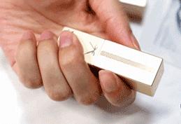 适合黄黑皮的平价口红测评,适合黄黑皮的六种平价口红颜色