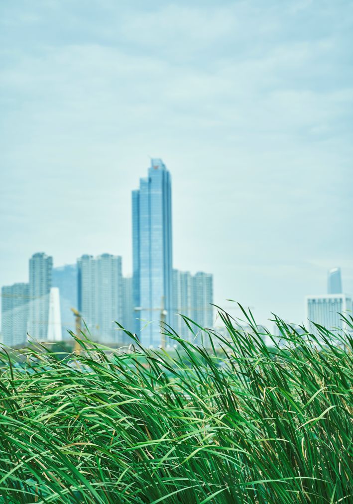 凭是什么读音,凭什么是谁的歌