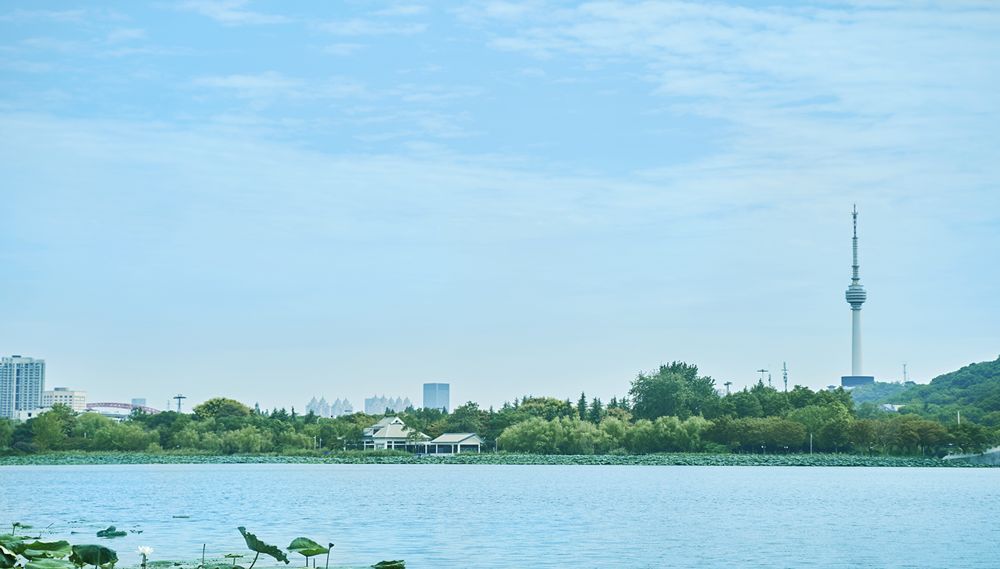 凭是什么读音,凭什么是谁的歌