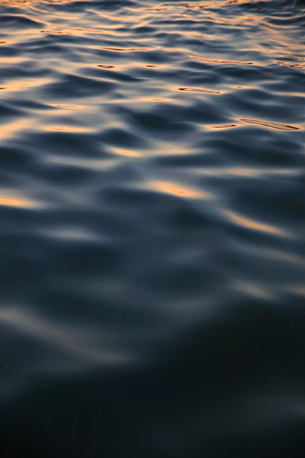 凭是什么读音,凭什么是谁的歌