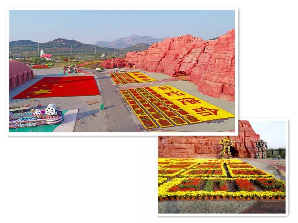 西海岸菊花展时间,西海岸菊展