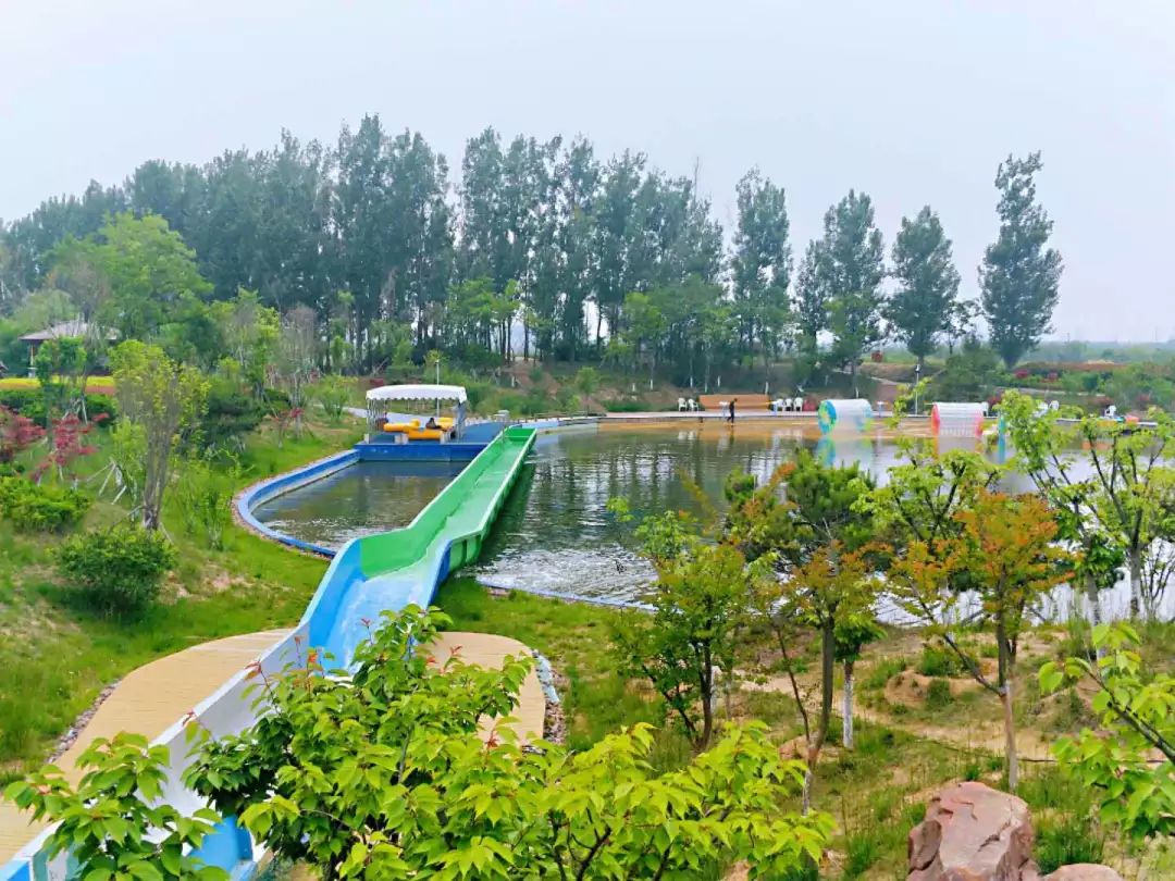 西海岸菊花展时间,西海岸菊展