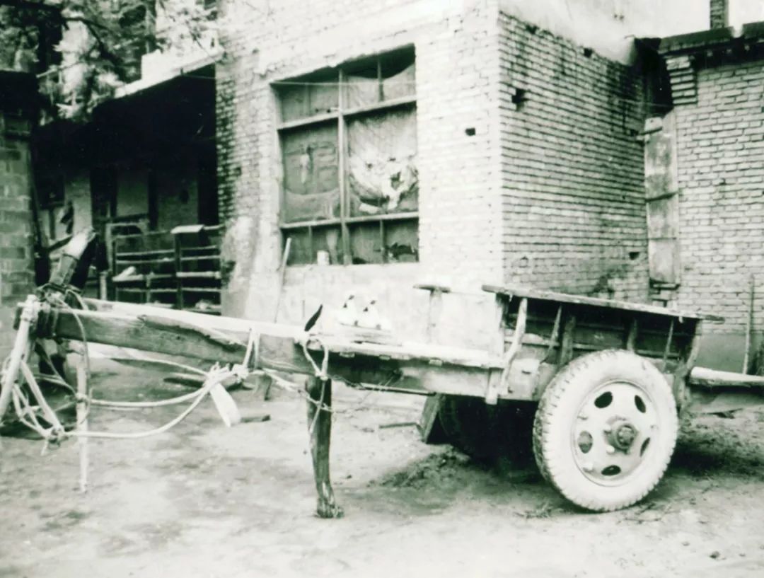 医院变迁视频,医路蝶变