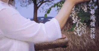 人气最高网红村姑,盘点曾经很火的村姑网红