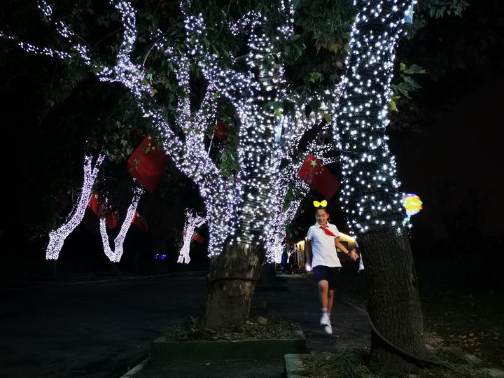 太金贵了钱塘百亩花海惊艳绽放,杭州千亩花海惊艳亮相