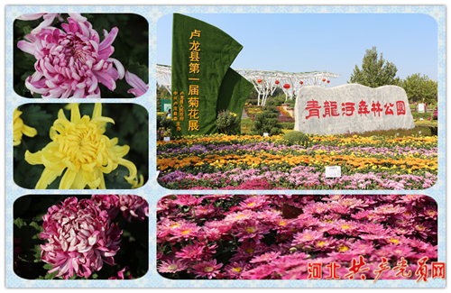 鎴戝拰鎴戠殑绁栧浗涓婚搴嗙娲诲姩,鎴戝拰鎴戠殑绁栧浗搴嗙70鍛ㄥ勾涓婚