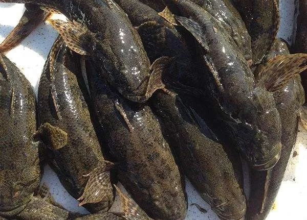 江苏十三市名吃,江苏哪个城市好吃的最多