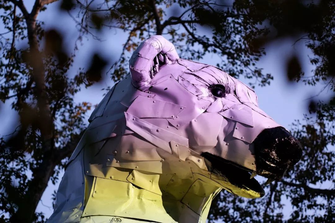 富士x-a7功能介绍,富士x-a7可以配的镜头