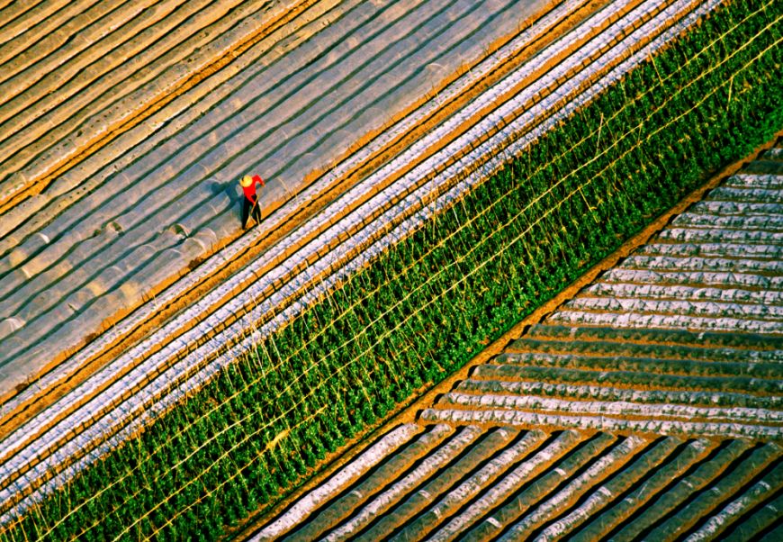 中国梦70周年绘画图片,70周年中国梦绘画作品图片